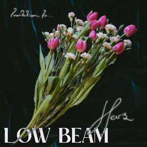 low beam