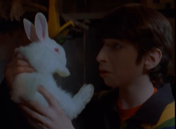 Bad Hare Day