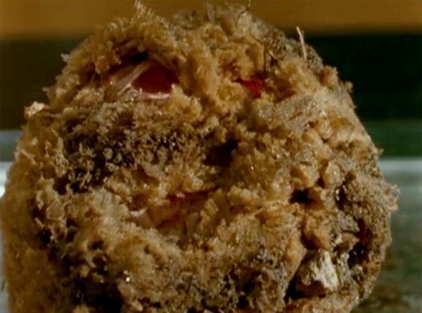 It Came from Beneath the Sink