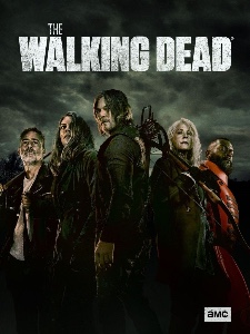 season 11