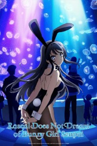 Rascal does not dream of bunny girl senpai