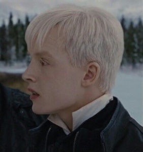 Vladimir
