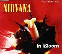 in bloom