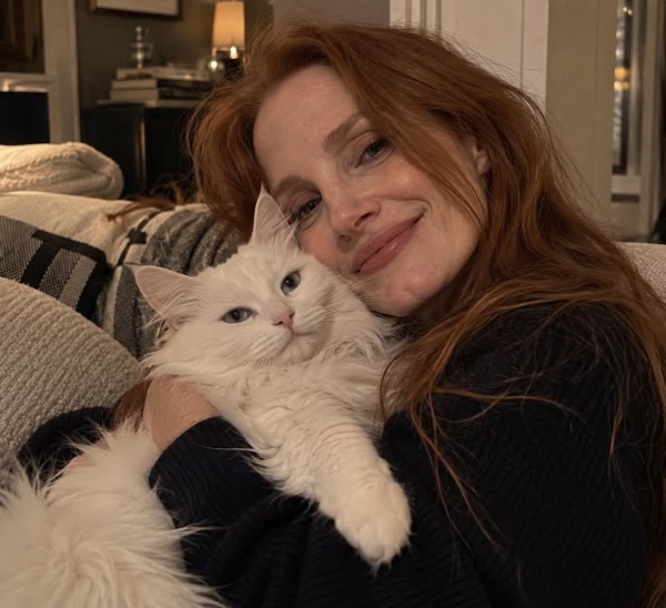 jessica chastain