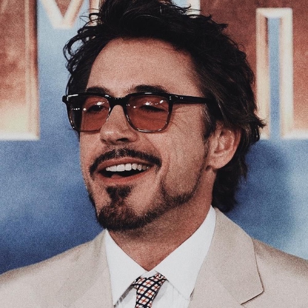 robert downey jr