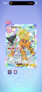 Shiny Raikou EX