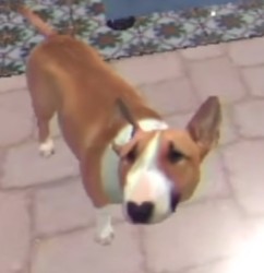 Cô Tam
