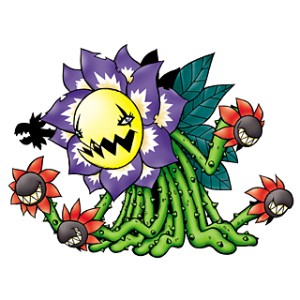 blossomon