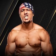 ar fox