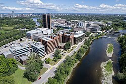 Carleton