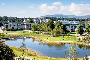 UC Dublin