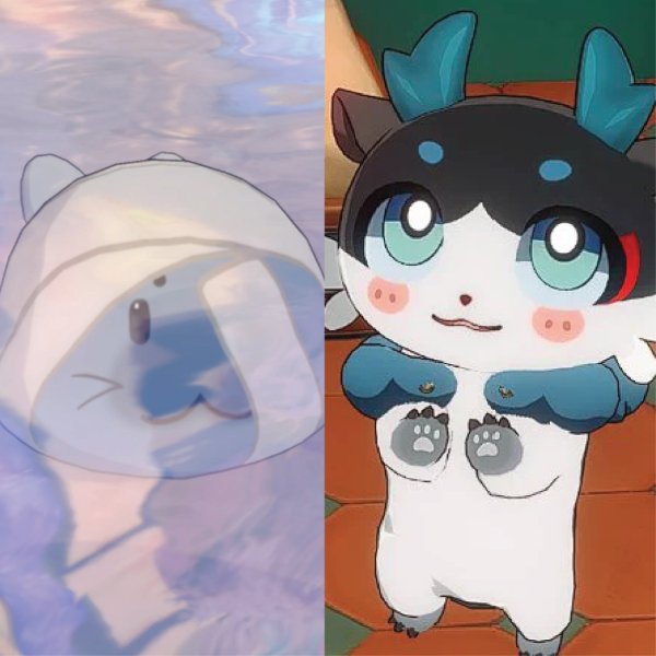 Bandaged Seal x Sated Dragon