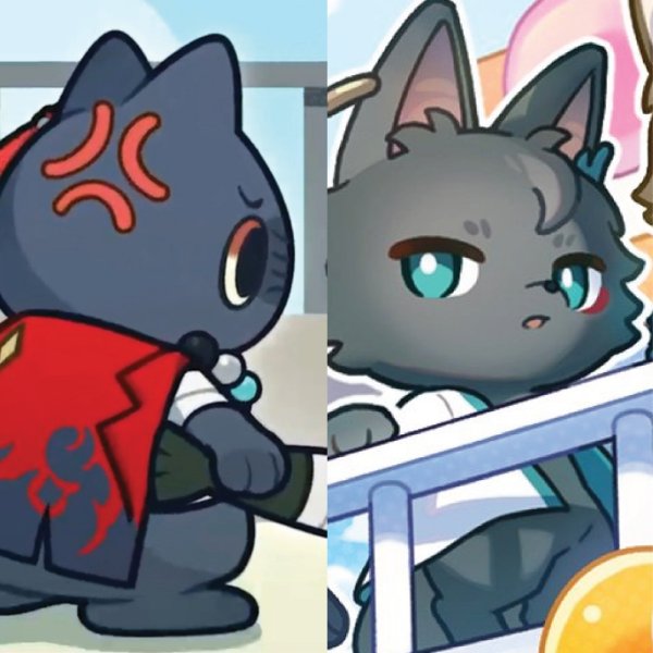 Mummicat x Woof Woof Dan