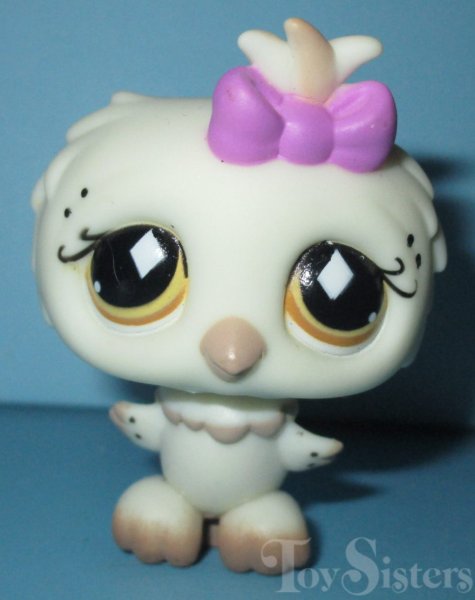 Mystery Owl
