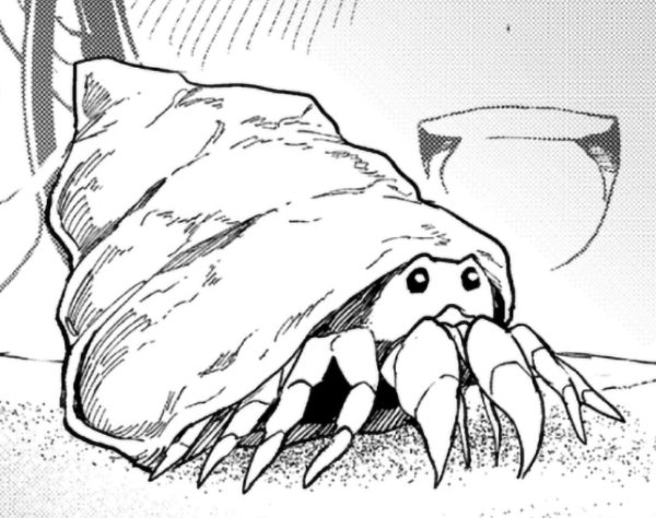 Hikki the hermit crab
