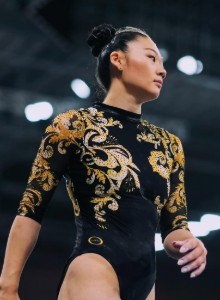 Aiyu Zhu