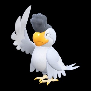 White Squawkabilly