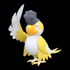 Yellow Squawkabilly