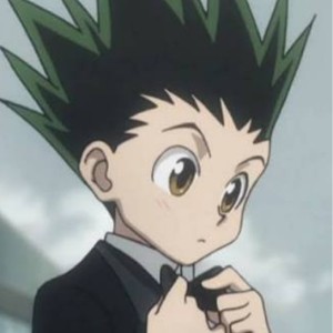 Gon Freecs