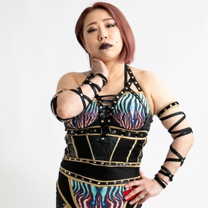 DASH Chisako