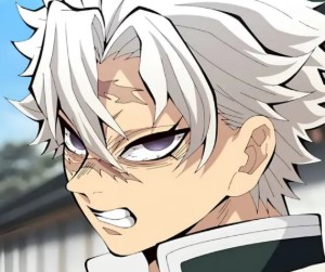 Sanemi Shinazugawa💨