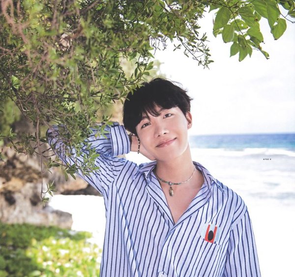 hoseok beta