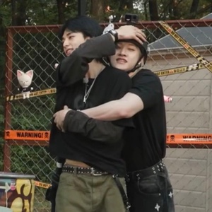 omega calming alfa down