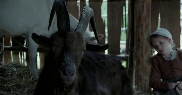 Black Phillip - The Witch