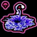 Benthic Bloom