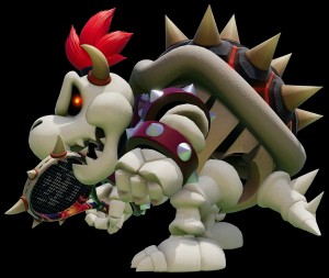Dry Bowser