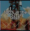 100% in the bitch