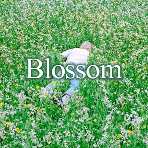 Blossom