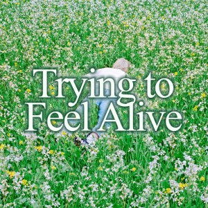 Trying to Feel Alive