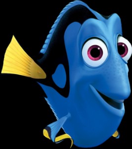 Dory