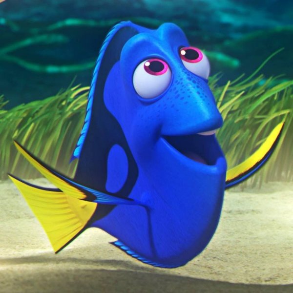 Dory