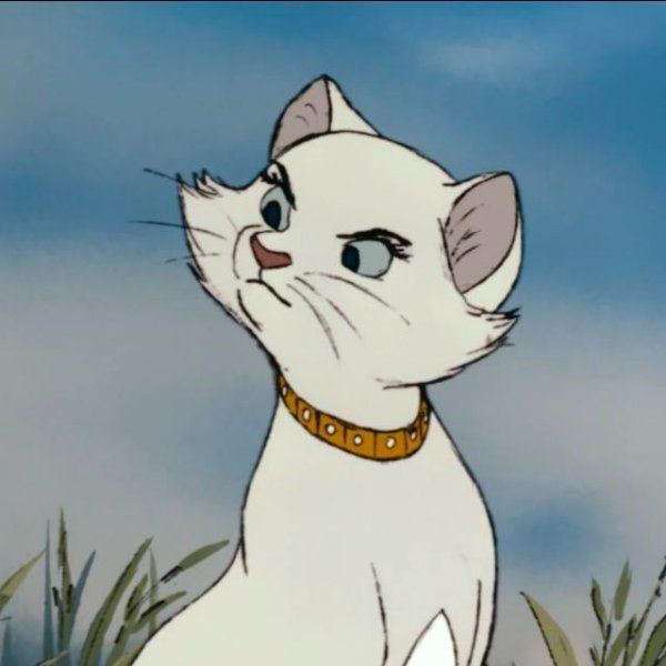 Duchess