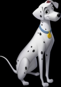 Perdita