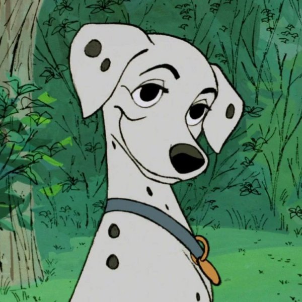 Perdita