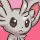 Minccino