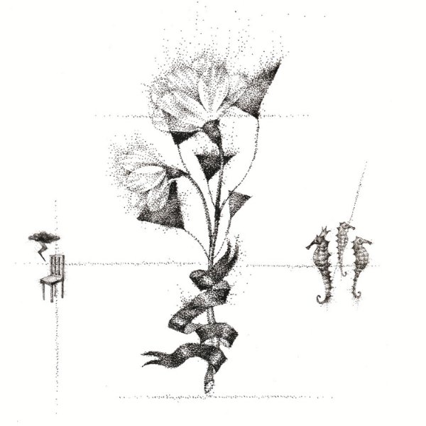 diphylleia grayi