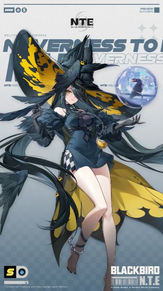 Blackbird (Neverness)