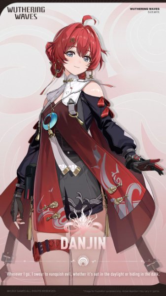 Danjin (WuWa)
