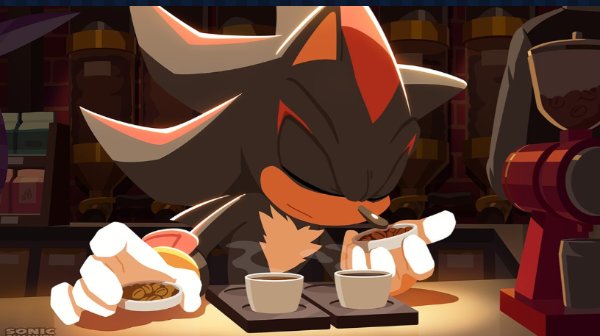 Shadow The Hedgehog