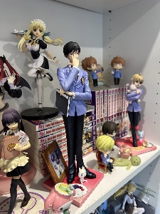collecting figures