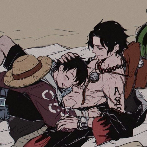 ace x luffy