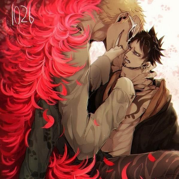 doflamingo x law