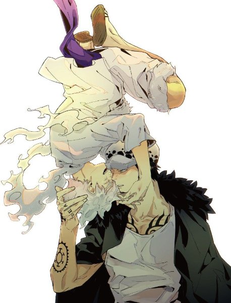 law x luffy