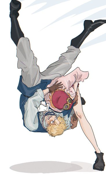 sabo x koala
