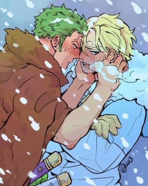 zoro x sanji