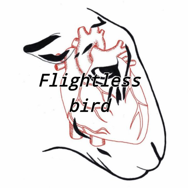 Flightless Bird